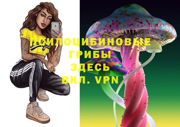 винт Баксан