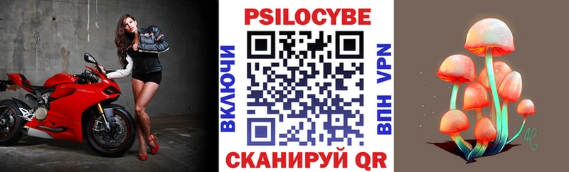 маркетплейс телеграм Городовиковск Псилоцибиновые грибы Psilocybine cubensis mega как зайти